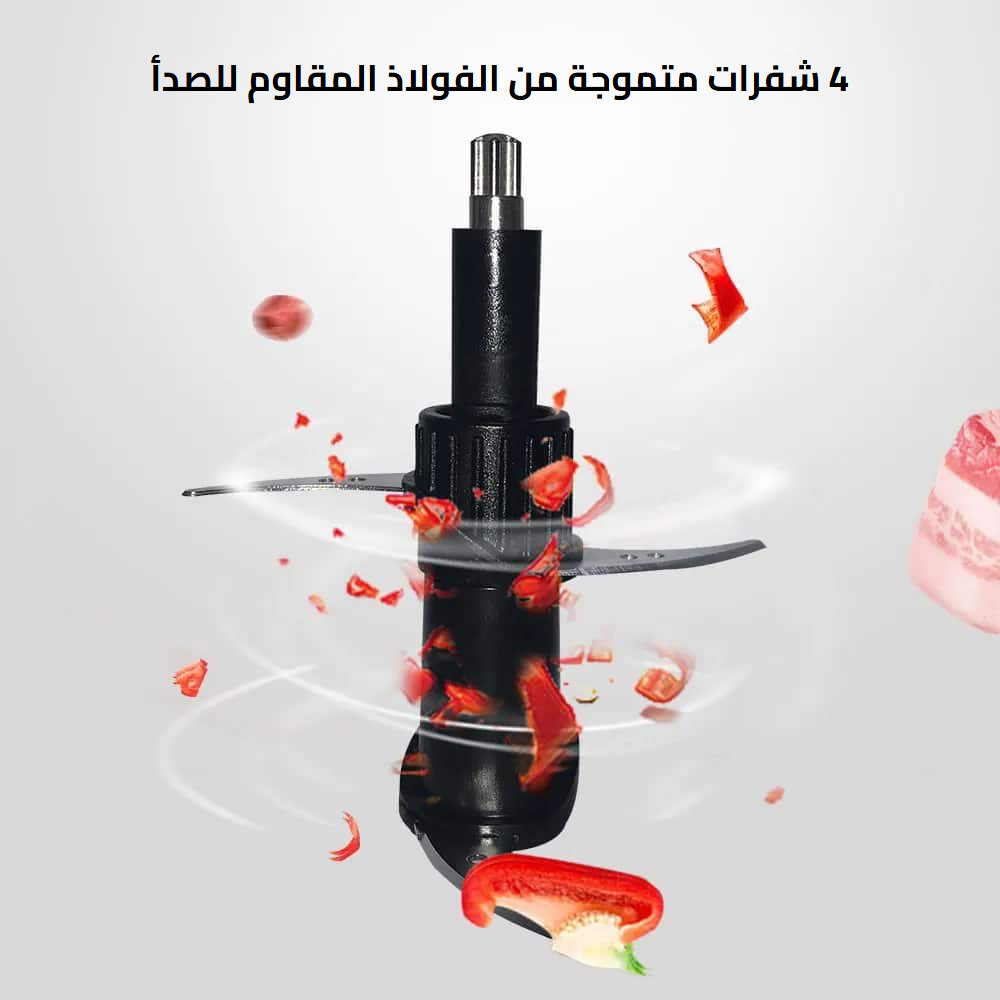 محضّر الطعام الخلاط Biolomix 3 في 1