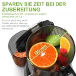 Entsafter Biolomix mit Saftextraktor