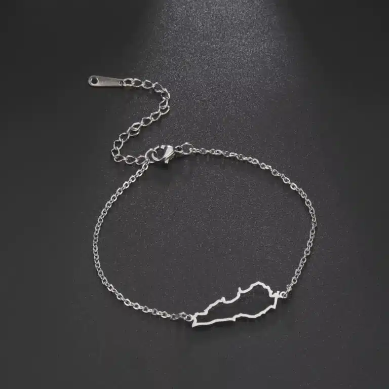 Bracelet fin carte du Liban en acier inoxydable