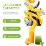 Entsafter Biolomix mit Saftextraktor