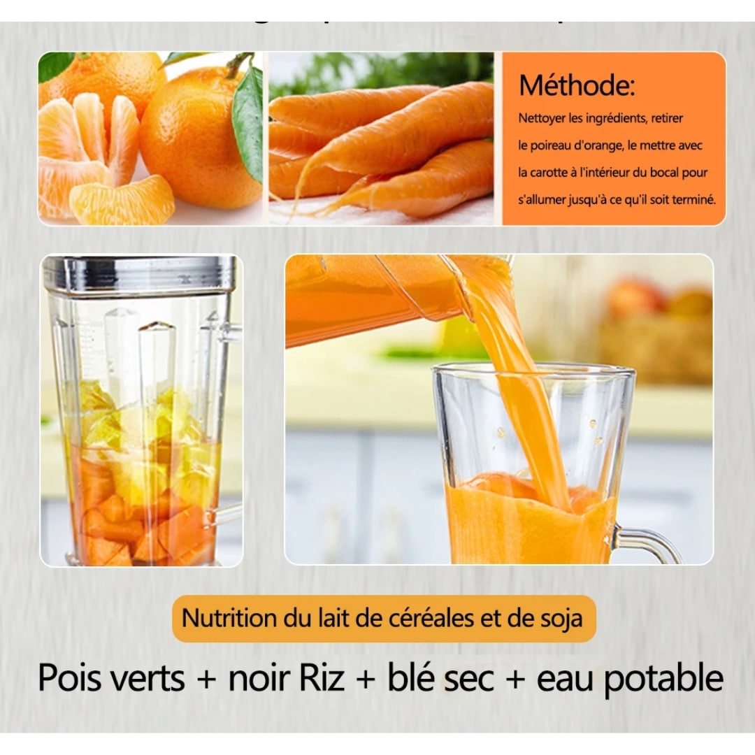 Blender Biolomix pour Smoothies et Soupes - 10 (12)