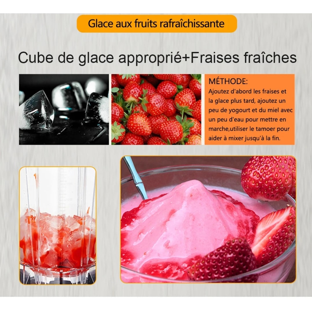 Blender Biolomix pour Smoothies et Soupes - 10 (13)
