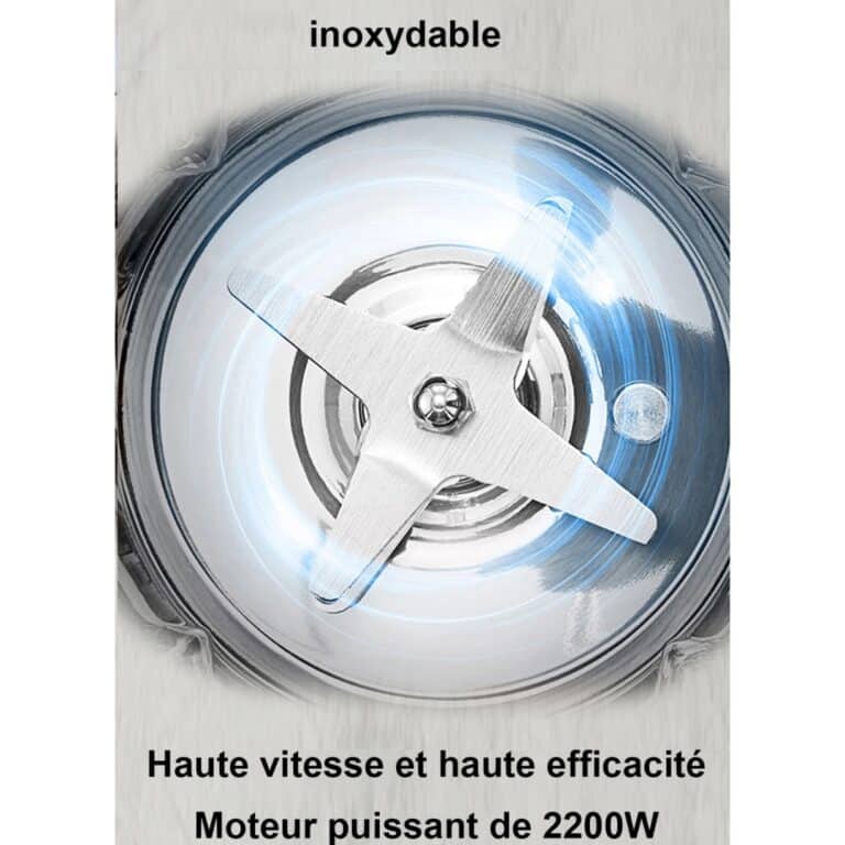 Blender Biolomix pour Smoothies et Soupes - 10 (4)