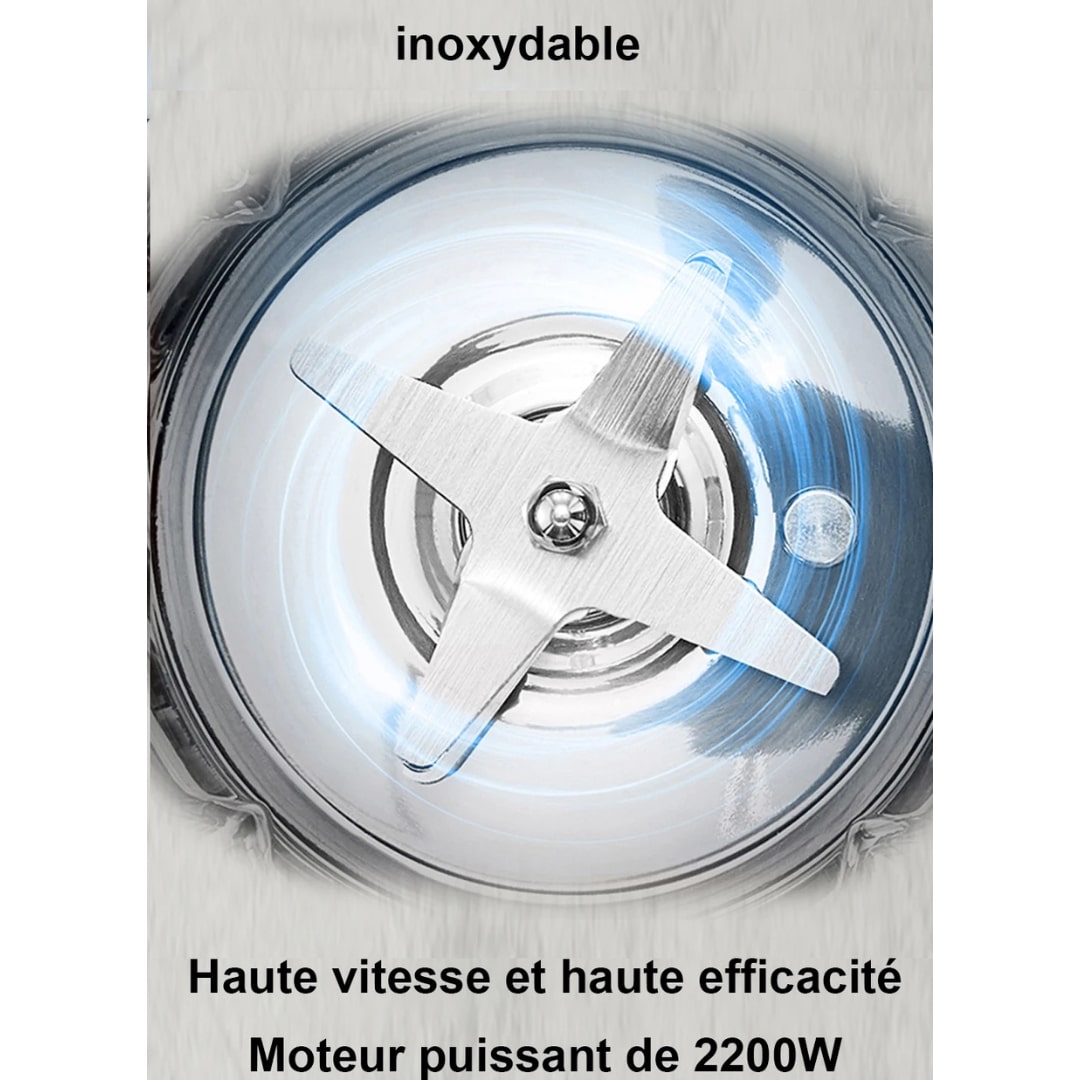 Blender Biolomix pour Smoothies et Soupes - 10 (4)