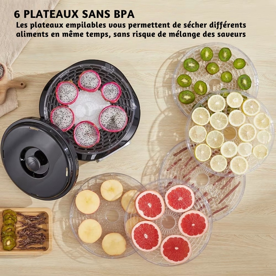 Déshydrateur Puissant Biolomix 450w en Acier Inoxydable 3