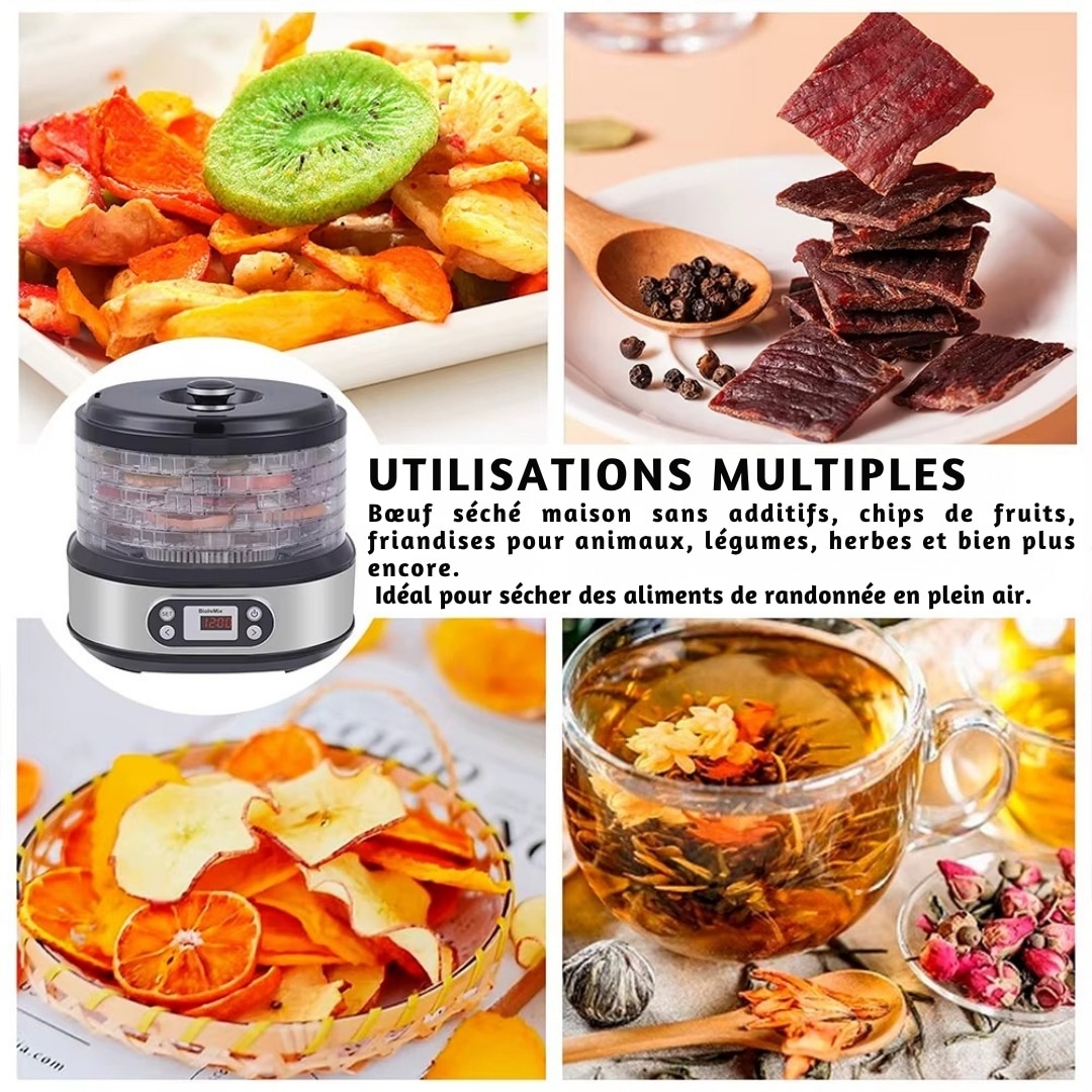 Déshydrateur Puissant Biolomix 450w en Acier Inoxydable 5