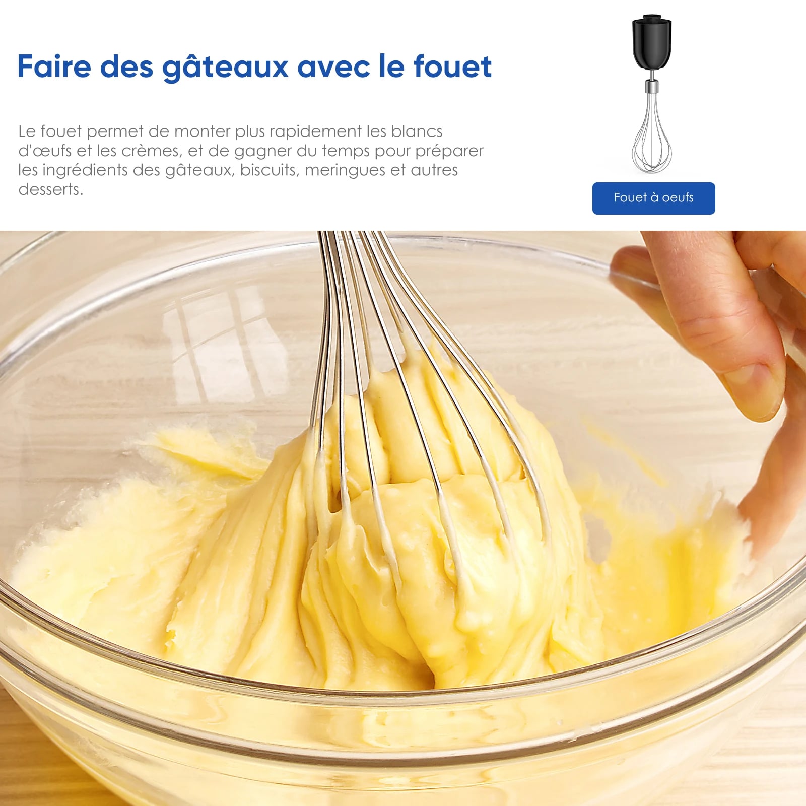 Ensemble mixeur plongeant et hachoir biolomix