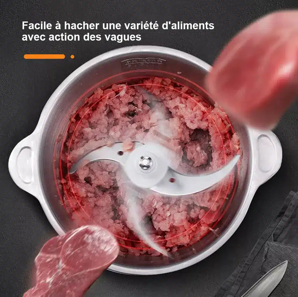 Hachoir multifonction Biolomix en acier inoxydable pour viande et légumes