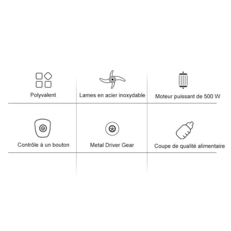 Mixeur Biolomix 500w avec Lames en Acier Inoxydable - 10 (1)