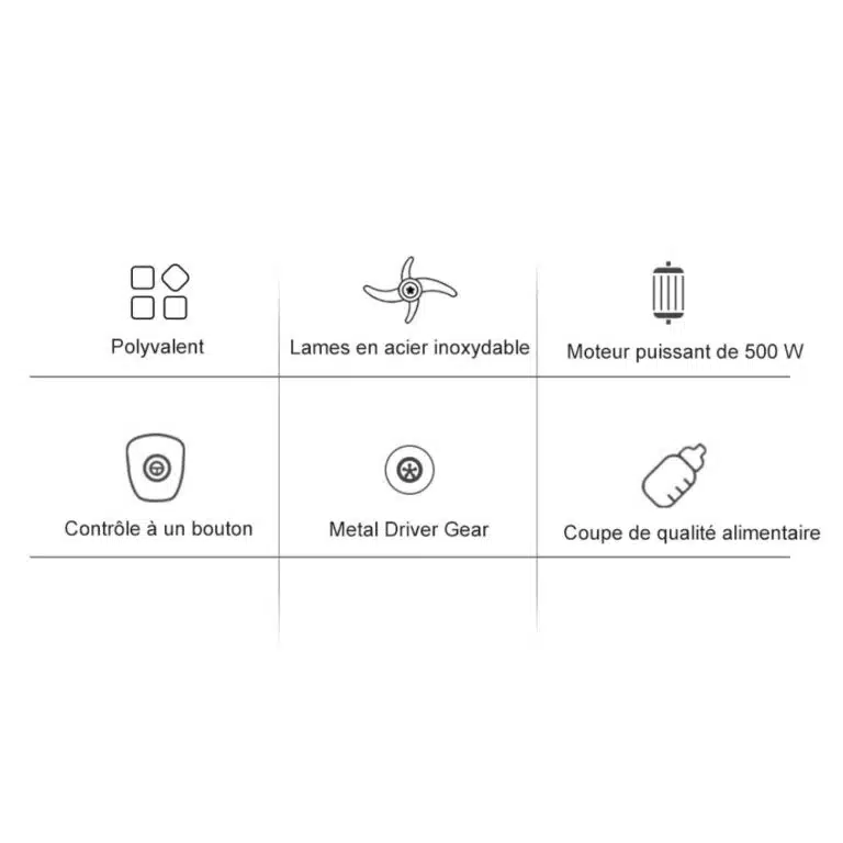Robot culinaire mixeur Biolomix 3 en 1