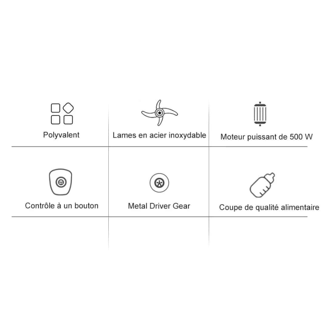 Mixeur Biolomix 500w avec Lames en Acier Inoxydable - 10 (1)