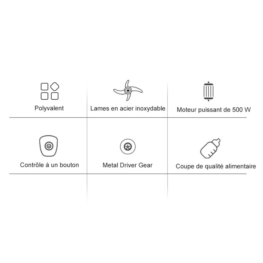 Robot culinaire mixeur Biolomix 3 en 1