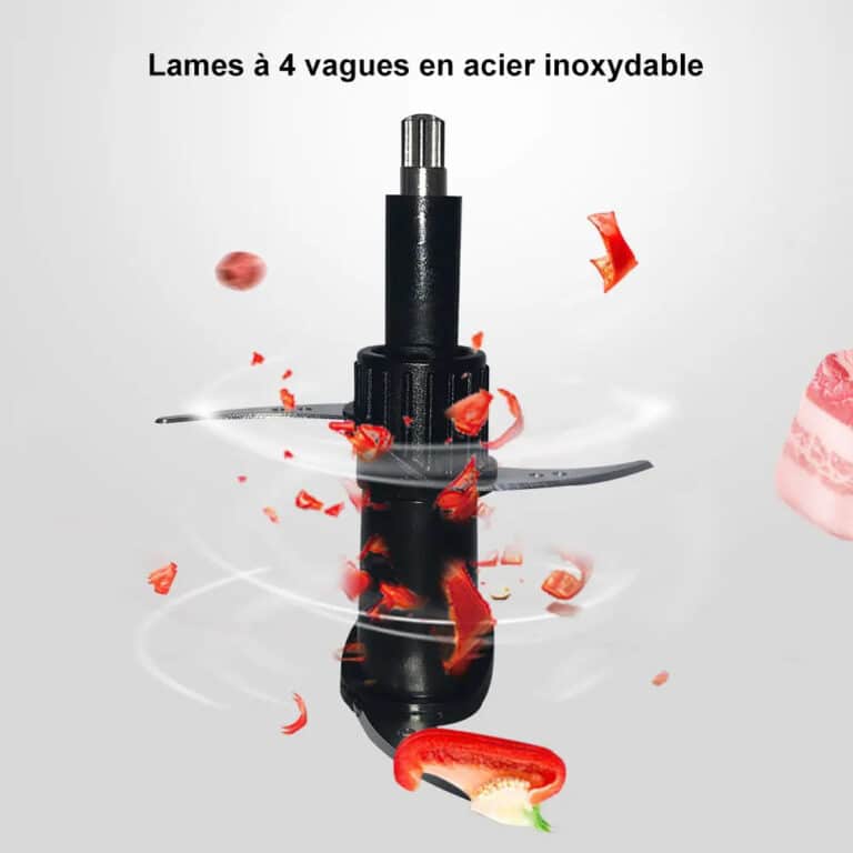 Mixeur Biolomix 500w avec Lames en Acier Inoxydable - 10 (10)