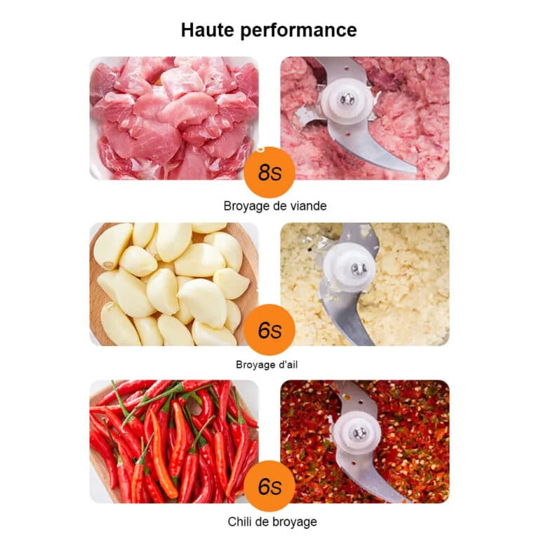 Mixeur Biolomix 500w avec Lames en Acier Inoxydable - 10 (5)