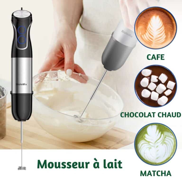 Mixeur puissant et hachoir biolomix