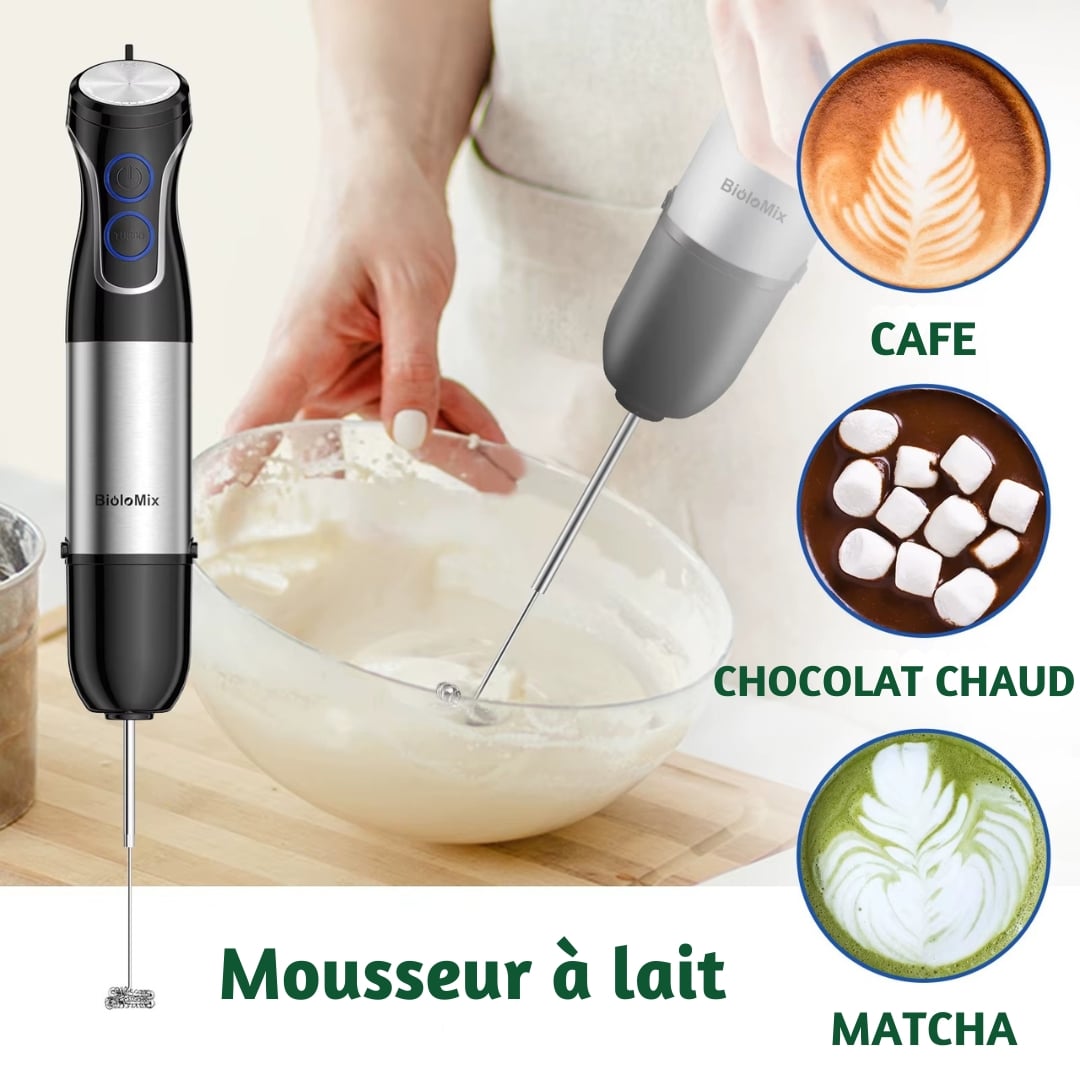 Mixeur puissant et hachoir biolomix