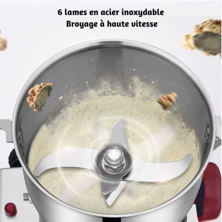 Moulin électrique Biolomix 3000w pour Grains et Épices 4