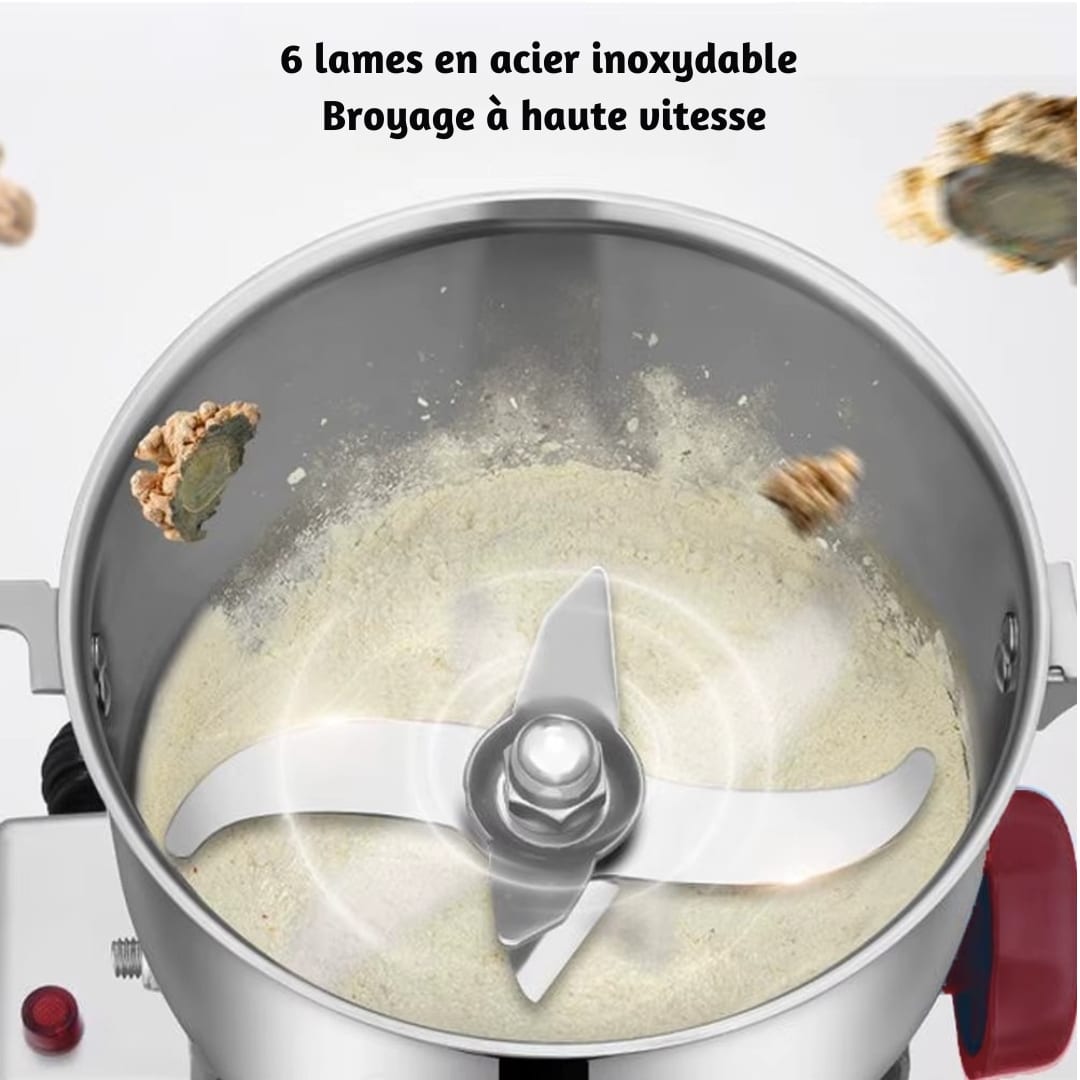 Moulin électrique Biolomix 3000w pour Grains et Épices 4