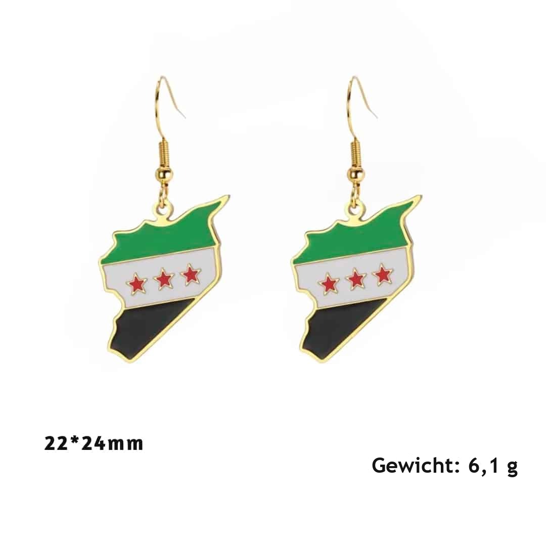 Oorbellen in de vorm van Syrië van roestvrij staal