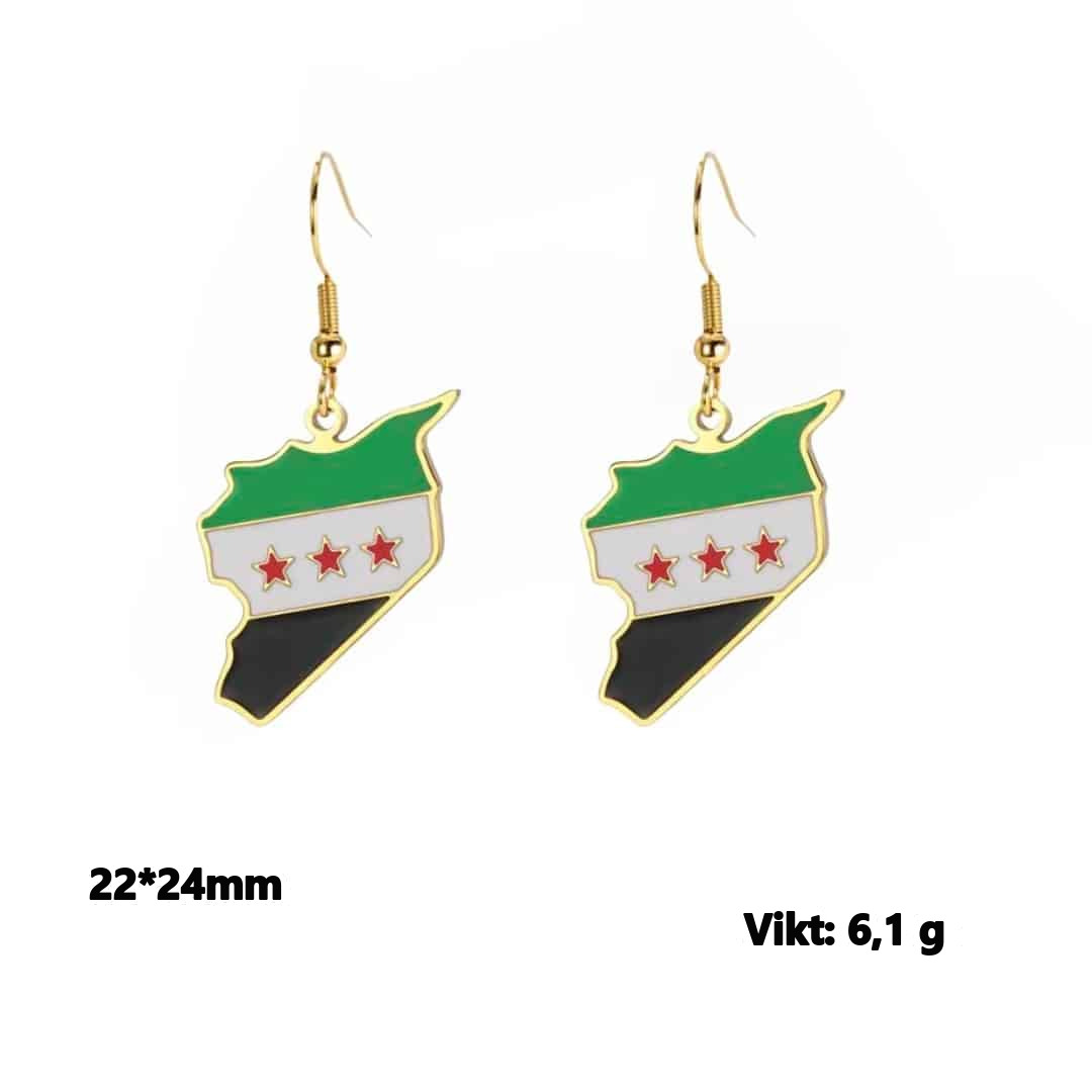 Örhängen med Syriens karta i rostfritt stål