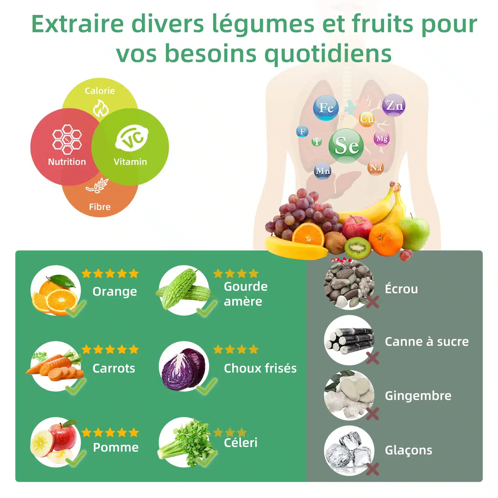 Presse-agrumes Biolomix sans bpa