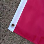 Iraanse vlag met leeuw, zon en gouden kroon