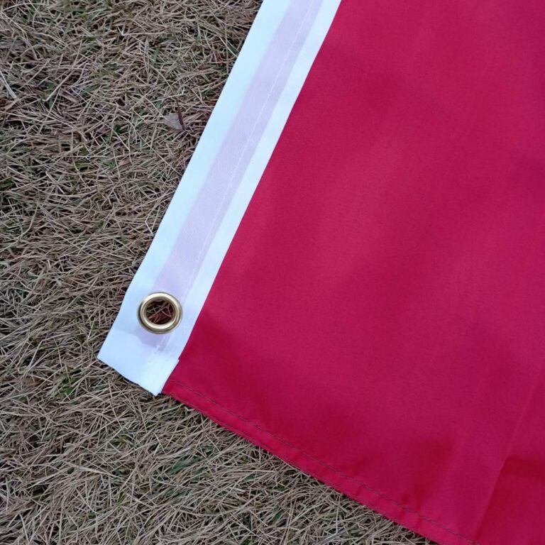 Iraanse vlag met leeuw, zon en gouden kroon