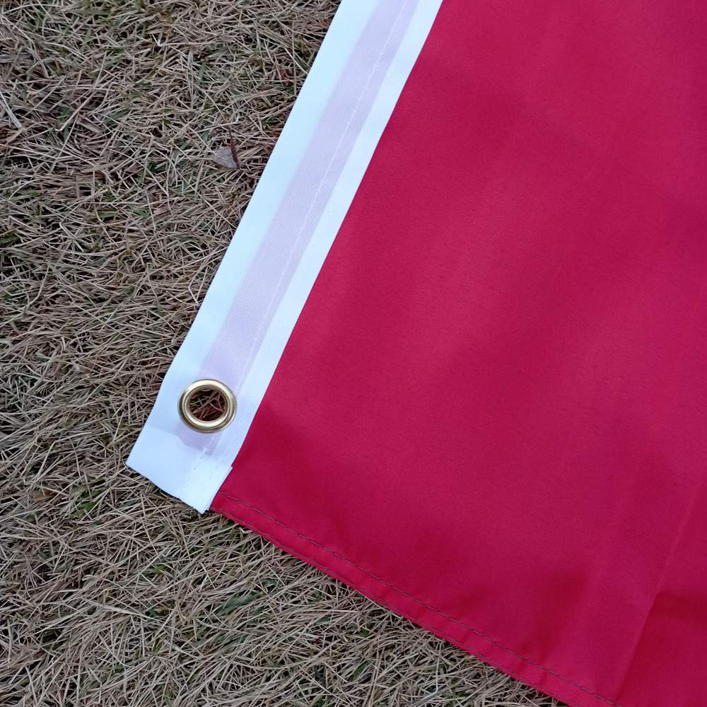 Drapeau-Iran-lion-et-soleil-avec-couronne-doree-picture-4