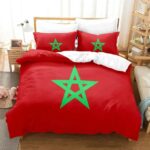 Housse-de-couette-1-personne-motifs-symboliques-orientaux-rouge-et-vert-picture-6