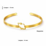 Bracelet-jonc-carte-de-lIran-en-acier-technique-1434