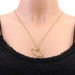 Collier-carte-de-lIran-pleine-ou-ajouree-picture-4