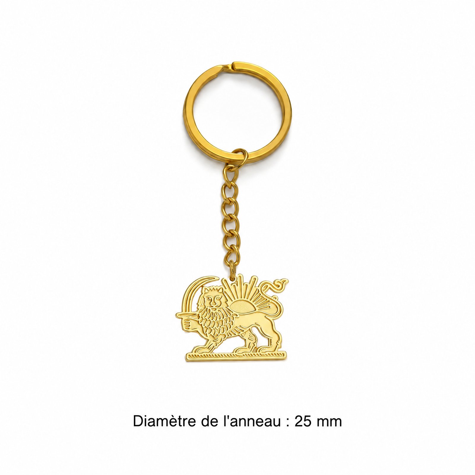 Porte-cle-lion-homme-technique-4582