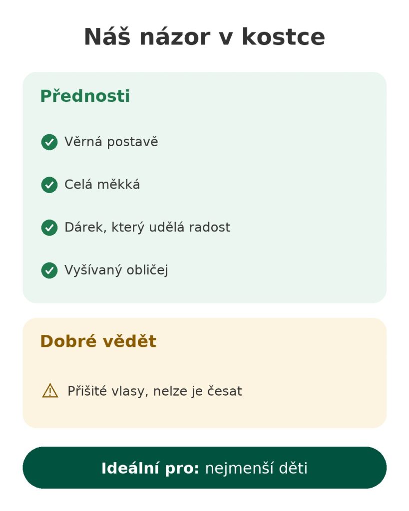 Náš názor v kostce na měkkou panenku princezna Jasmine – přednosti, na co si dát pozor a komu se hodí