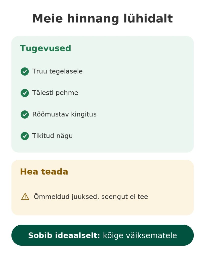 Meie hinnang lühidalt: Printsess Jasmine pehme nukk – tugevused, teada-tähtis ja kellele sobib