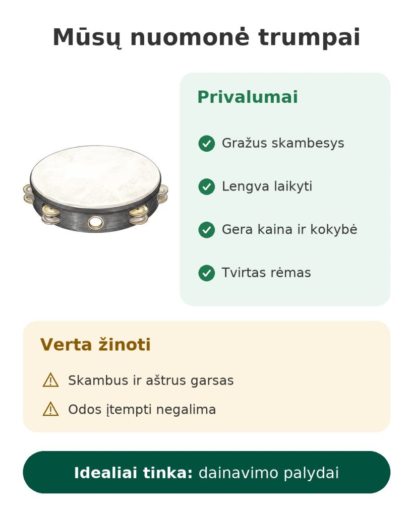 Mūsų nuomonė trumpai apie tamburiną Remo – privalumai, ką žinoti ir kam tinka