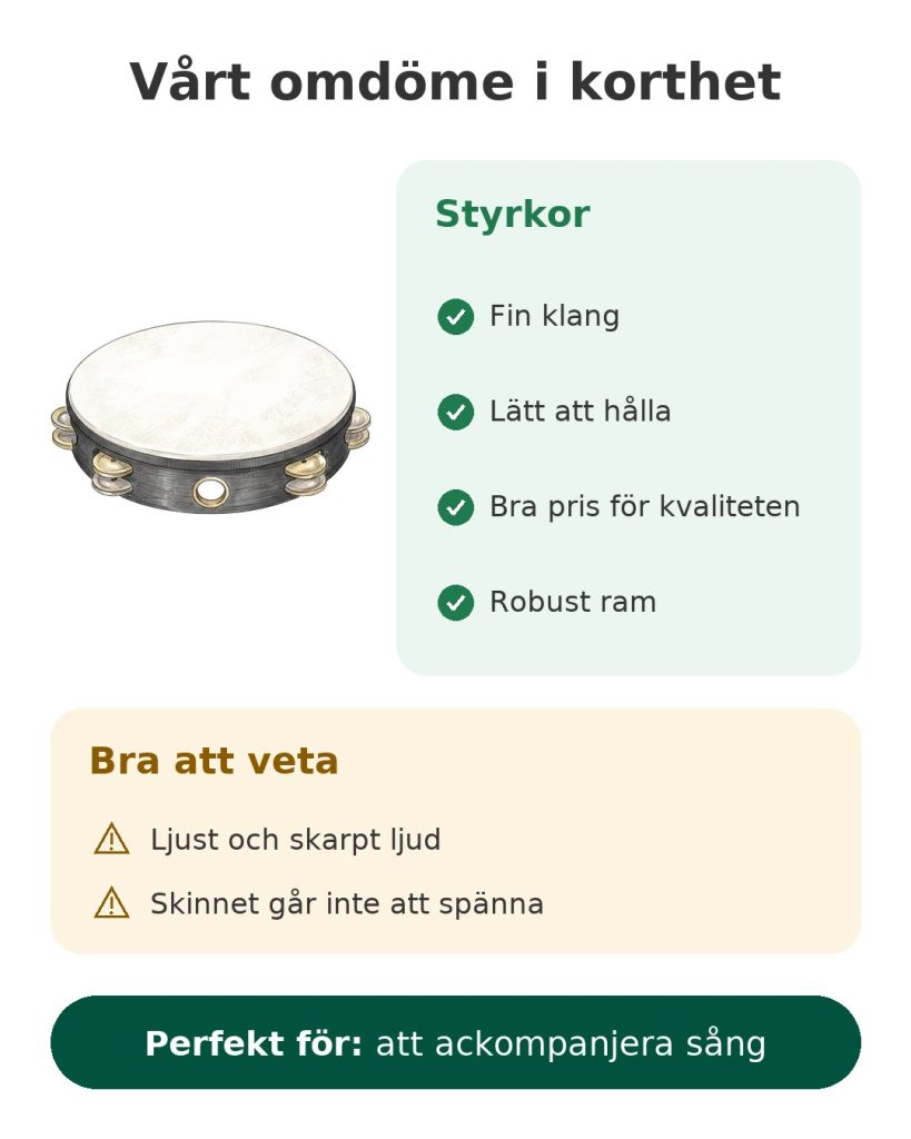 Vårt omdöme i korthet om tamburinen Remo – styrkor, saker att veta och målgrupp