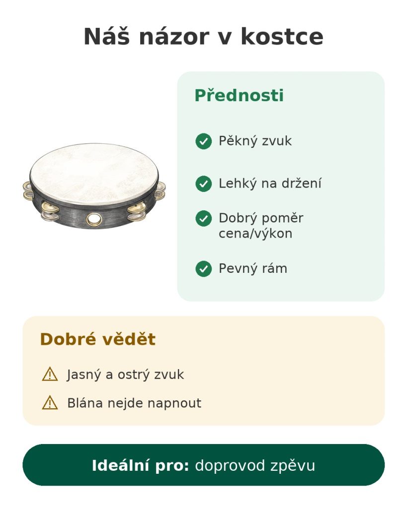 Náš názor v kostce na tamburínu Remo – přednosti, na co si dát pozor a komu se hodí