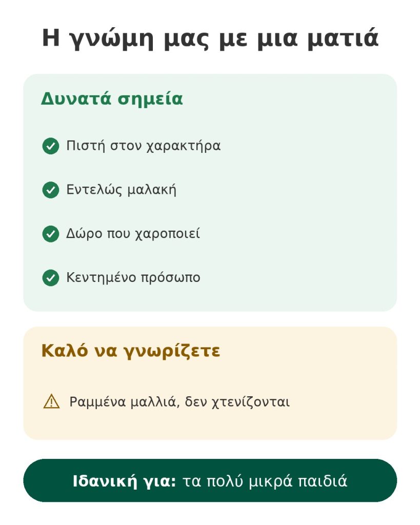 Η γνώμη μας με μια ματιά για τη μαλακή κούκλα Πριγκίπισσα Γιασμίν – πλεονεκτήματα, σημεία προσοχής και ιδανικό κοινό